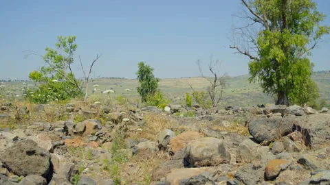 Bethsaida Archaeology Stock Footage 169524576