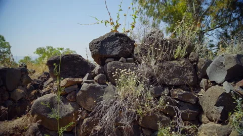 Bethsaida Archaeology Stock Footage 169524628