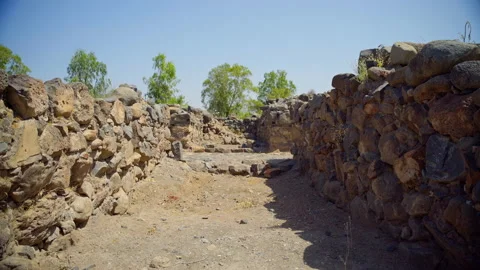 Bethsaida Archaeology Stock Footage 169525475