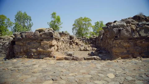 Bethsaida Archaeology Stock Footage 169525529