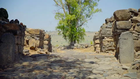 Bethsaida Archaeology Stock Footage 169525823