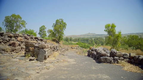 Bethsaida Archaeology Stock Footage 169525962