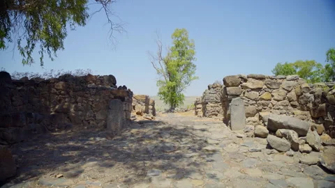 Bethsaida Archaeology Stock Footage 169526024