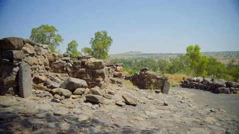 Bethsaida Archaeology Stock Footage 169526172