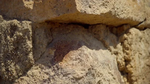 Bethsaida Archaeology Stock Footage 169526382