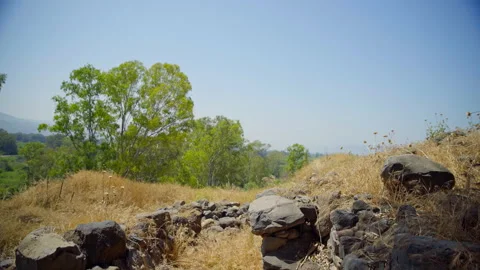 Bethsaida Archaeology Stock Footage 169526393