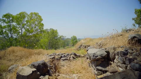 Bethsaida Archaeology Stock Footage 169526722