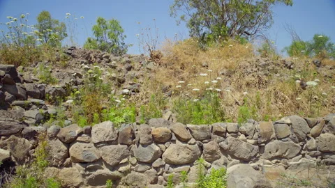 Bethsaida Archaeology Stock Footage 169526967