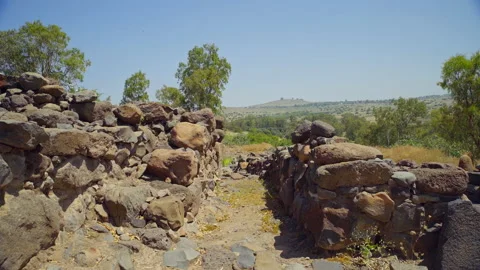Bethsaida Archaeology Stock Footage 169527098