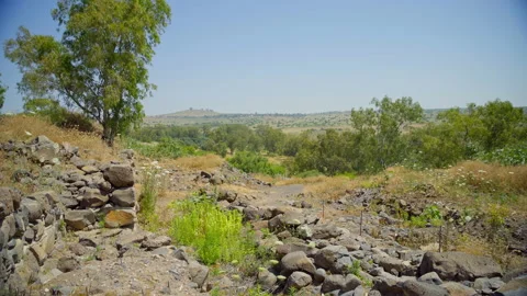 Bethsaida Archaeology Stock Footage 169527110