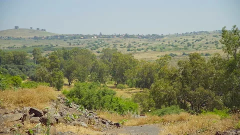 Bethsaida Archaeology Stock Footage 169527160