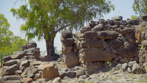 Bethsaida Archaeology Stock Footage 169527261