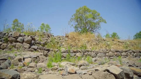 Bethsaida Archaeology Stock Footage 169527520
