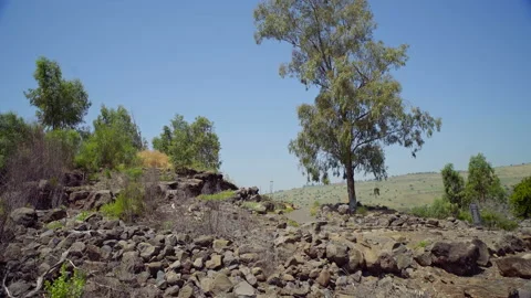Bethsaida Archaeology Stock Footage 169527665