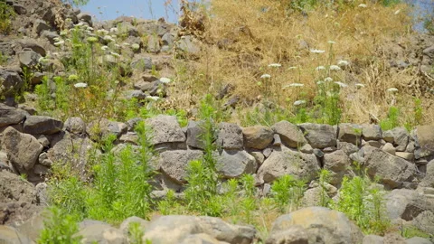 Bethsaida Archaeology Stock Footage 169527724