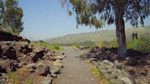 Bethsaida Archaeology Stock Footage 169527840