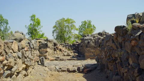 Bethsaida Archaeology Stock Footage 169528242