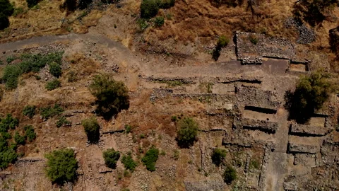 Bethsaida Drone Stock Footage 169261650