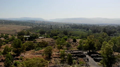 Bethsaida Drone Stock Footage 169261651
