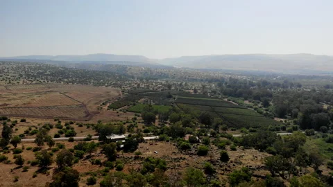 Bethsaida Drone Stock Footage 169261759
