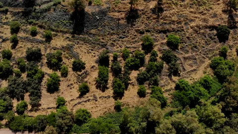 Bethsaida Drone Video stock 169261963