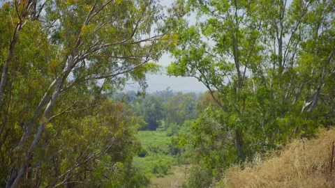 Bethsaida Nature Stock Footage 169529618