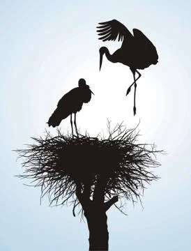 Betrothal storks Stock-Illustration
