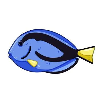 Betta decorative fish cartoon vector illustration Stock Illustration