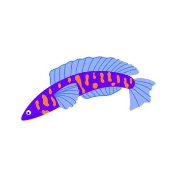 Betta exotic fish cartoon vector illustration Stock Illustration