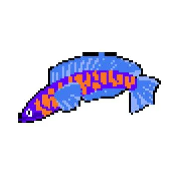 Betta exotic fish pixel art vector illustration Stock Illustration