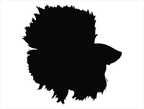 Betta fish silhouette vector art Stock Illustration