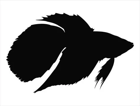 Betta fish silhouette vector art Stock Illustration