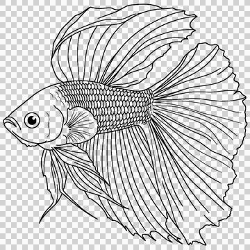Betta Fish Splendens Line Art Stock-Illustration