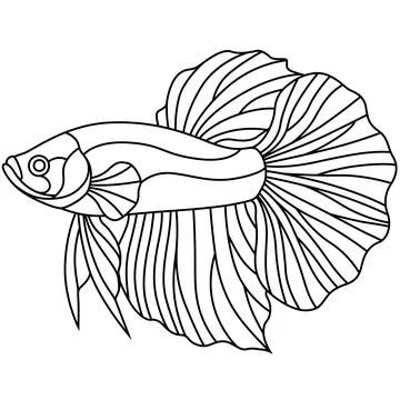 Betta fish stained glass pattern line art vector isolated on white background Stock Illustration