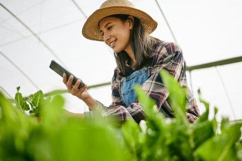 A better way to track progress. Shot of a young female farmer taking a photo of Foto stock