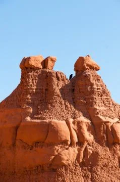 Between the Bird is Stock Photos