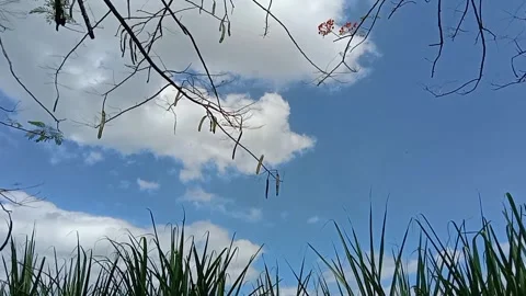 Between blue and green. 库存影片 333896582