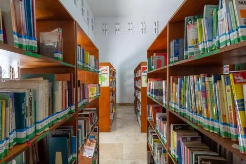 Between book shelves Stock Photos