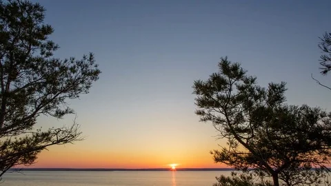 Between the branches of the pine,  the sunset over the horizon and the river Stock Footage 77538649