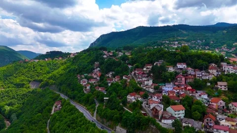 Between Concrete and Leaves Stock Footage 313439729