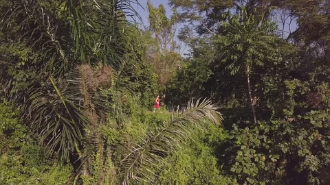 In-between the deep jungle by exploring amazing nature of Indonesia Stock Footage 100275444