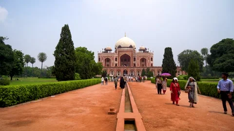 Between the Gardens and Graves Stock Footage 317097079
