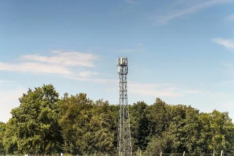 Between green trees and light blue sky, stands a tower, a connector between.. Stock Photos