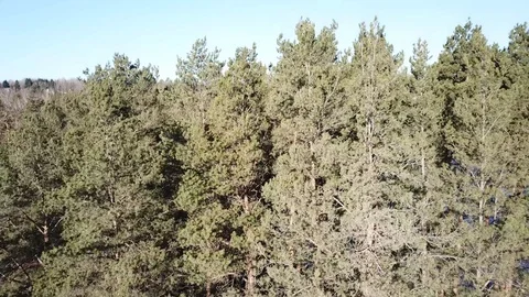 Between the quarry and the river Western Dvina Stock Footage 105155751