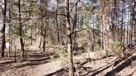 Between the quarry and the river Western Dvina Stock Footage 105156609