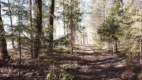 Between the quarry and the river Western Dvina Stock Footage 105156738