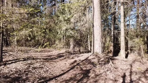 Between the quarry and the river Western Dvina Stock Footage 105156744