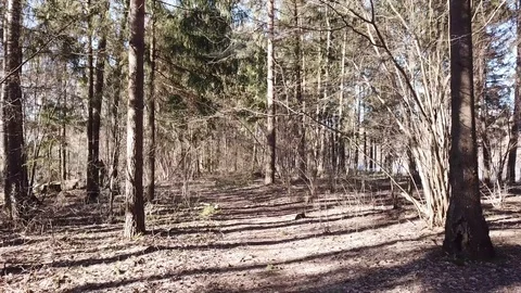 Between the quarry and the river Western Dvina Stock Footage 105156853