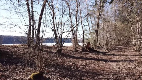 Between the quarry and the river Western Dvina Stock Footage 105156914