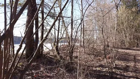 Between the quarry and the river Western Dvina Stock Footage 105157029